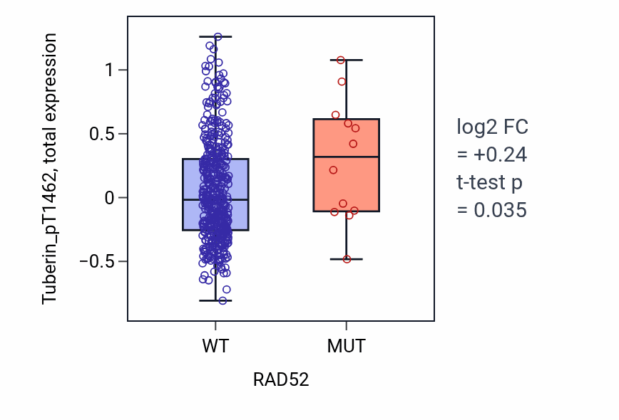 Box plot of Tuberin_pT1462 in RAD52-low vs RAD52-high samples in UCEC.