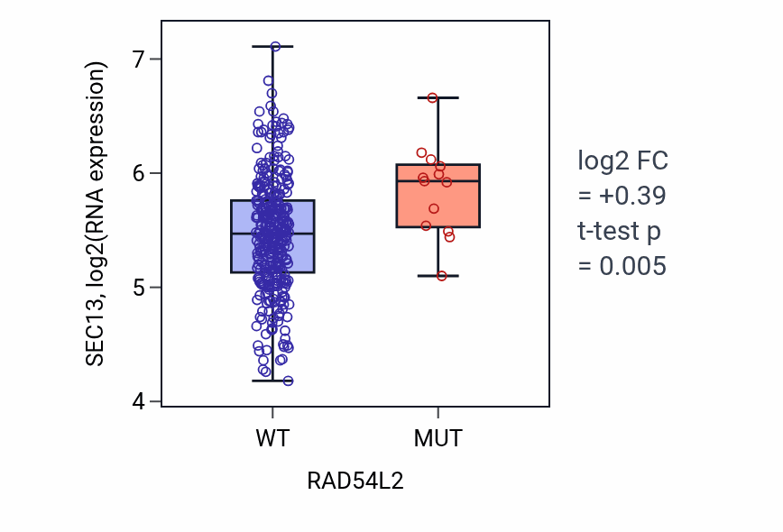 Box plot of SEC13 in RAD54L2-low vs RAD54L2-high samples in STAD.