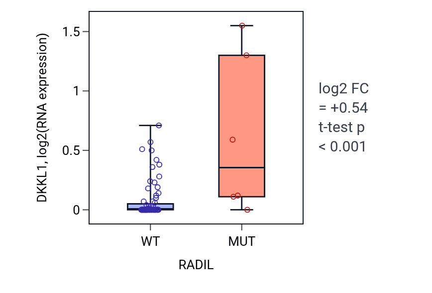 Box plot of DKKL1 in RADIL-low vs RADIL-high samples in BLOOD_Lymphoma.