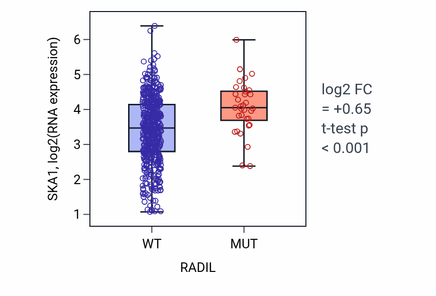 Box plot of SKA1 in RADIL-low vs RADIL-high samples in UCEC.