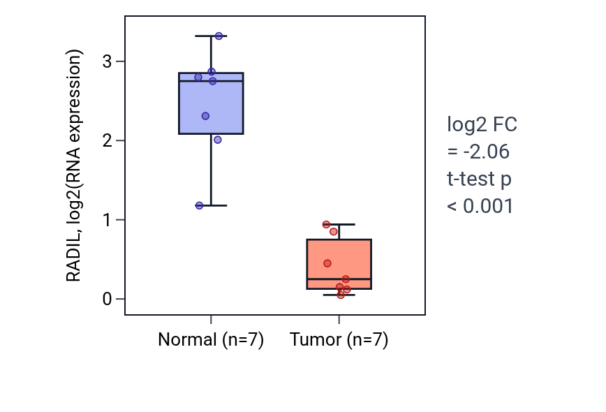 Tumor-vs-normal expression box plot for RADIL in THCA.