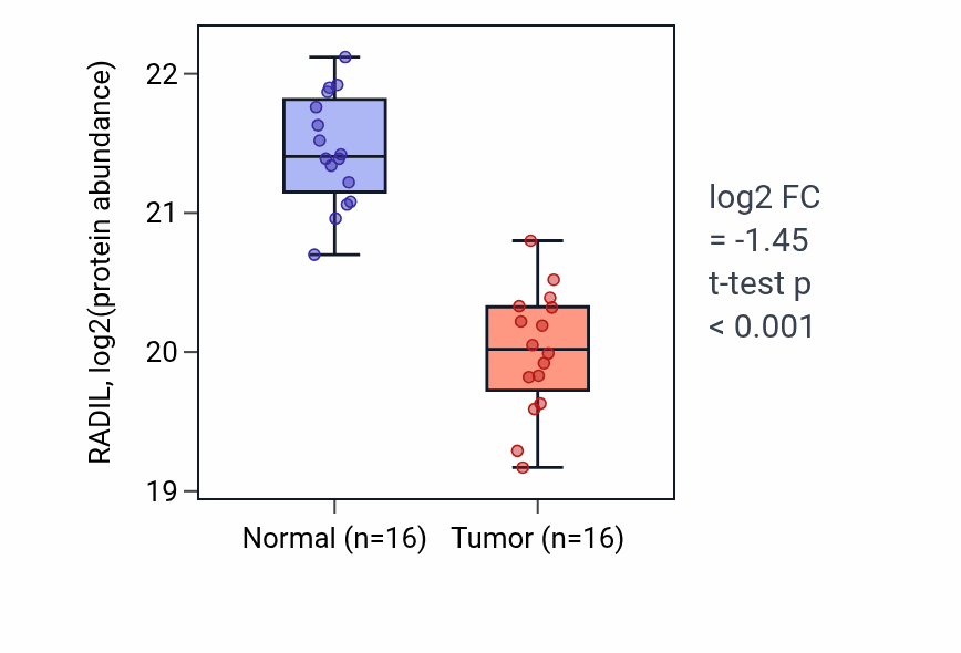 Tumor-vs-normal mass-spec protein box plot for RADIL in LUAD.