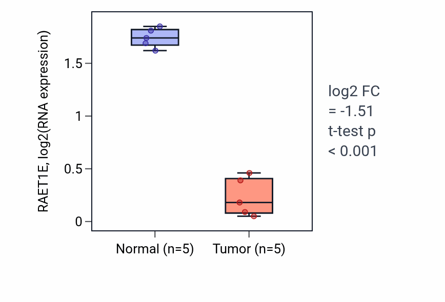Tumor-vs-normal expression box plot for RAET1E RNA in KIRP.