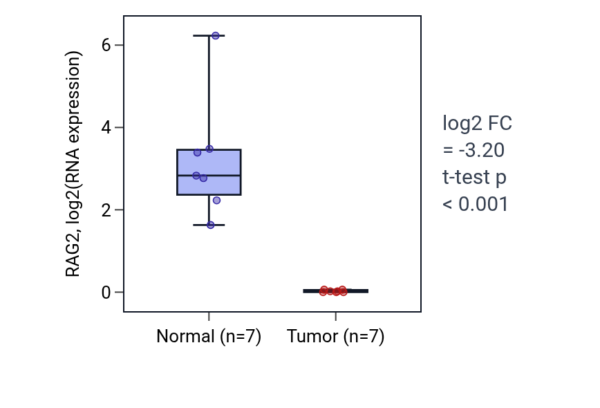 Tumor-vs-normal expression box plot for RAG2 in THCA.