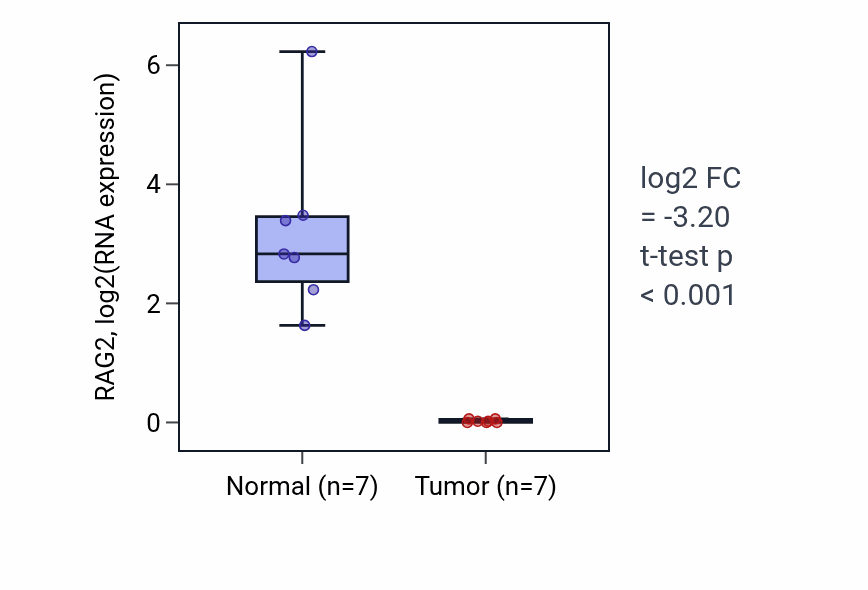 Tumor-vs-normal expression box plot for RAG2 RNA in THCA.