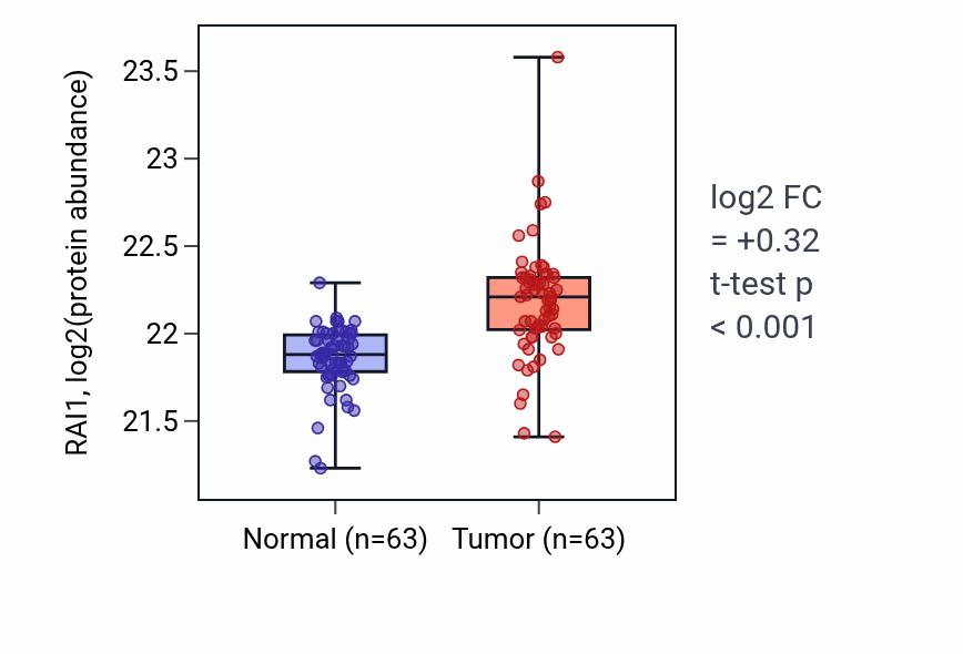 Tumor-vs-normal mass-spec protein box plot for RAI1 in CCRCC.