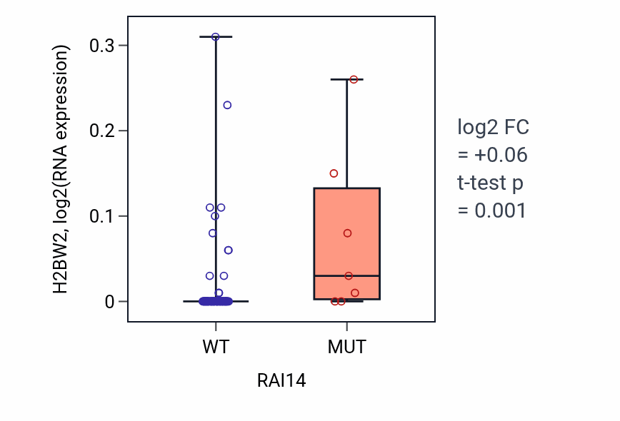 Box plot of H2BW2 in RAI14-low vs RAI14-high samples in BLOOD_Leukemia.