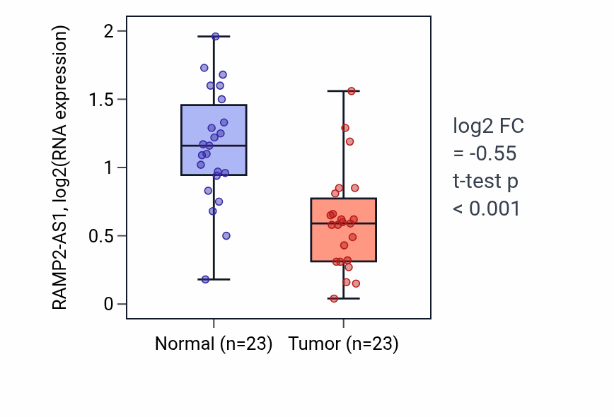 Tumor-vs-normal expression box plot for RAMP2-AS1 in THCA.