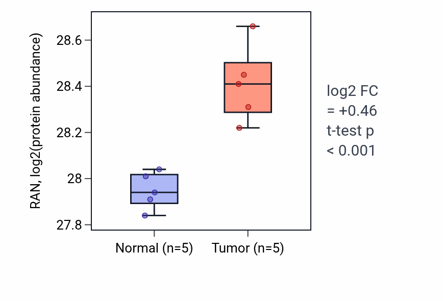 Tumor-vs-normal mass-spec protein box plot for RAN in CCRCC.