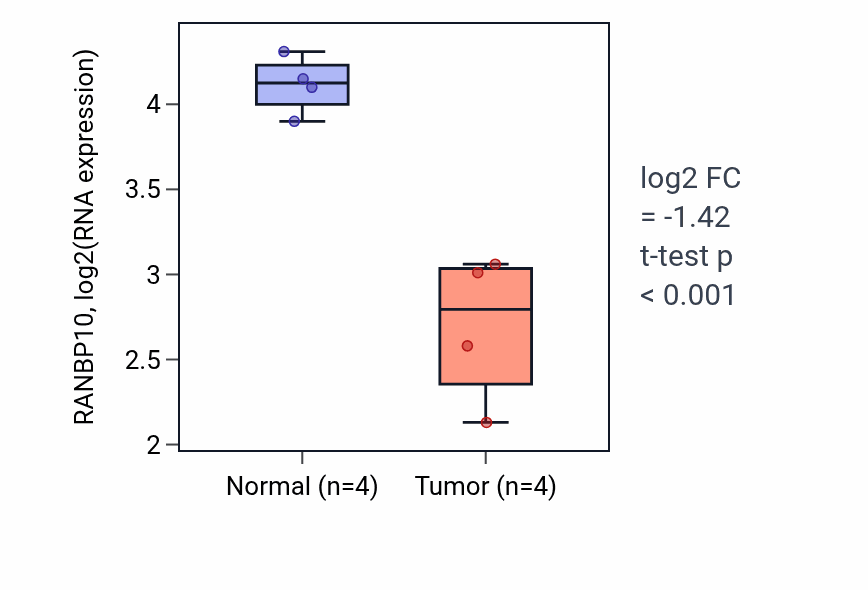 Tumor-vs-normal expression box plot for RANBP10 RNA in THCA.