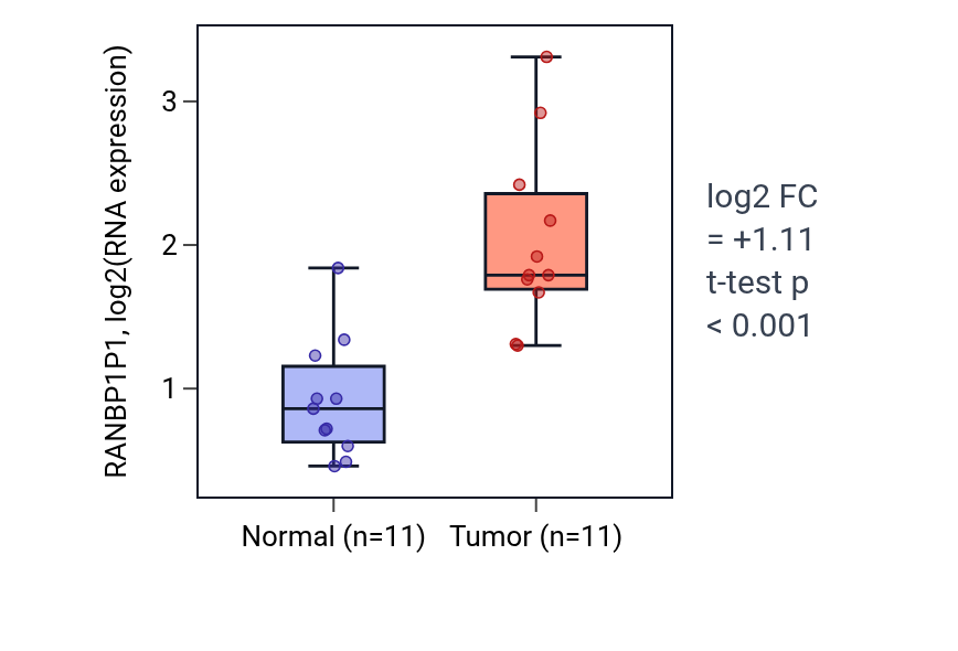Tumor-vs-normal expression box plot for RANBP1P1 in HNSC.