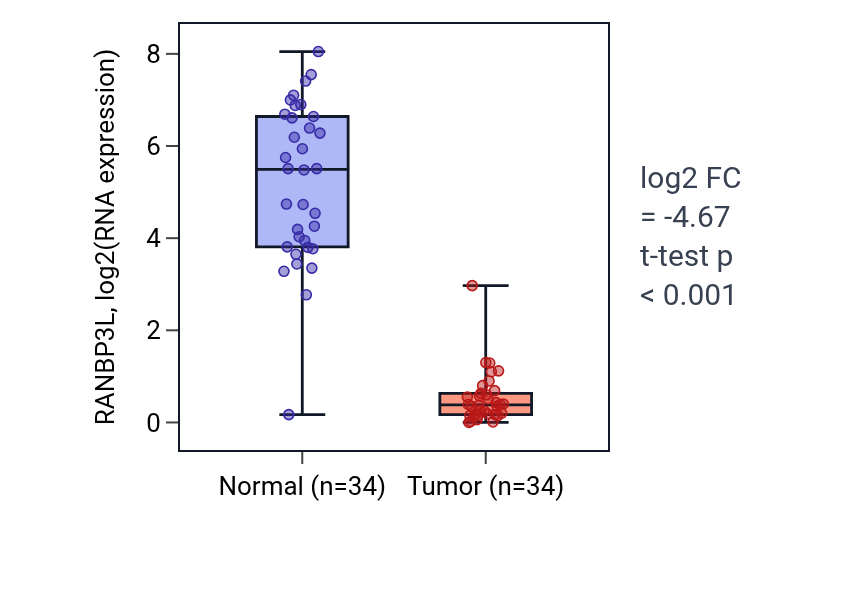Tumor-vs-normal expression box plot for RANBP3L in KIRC.