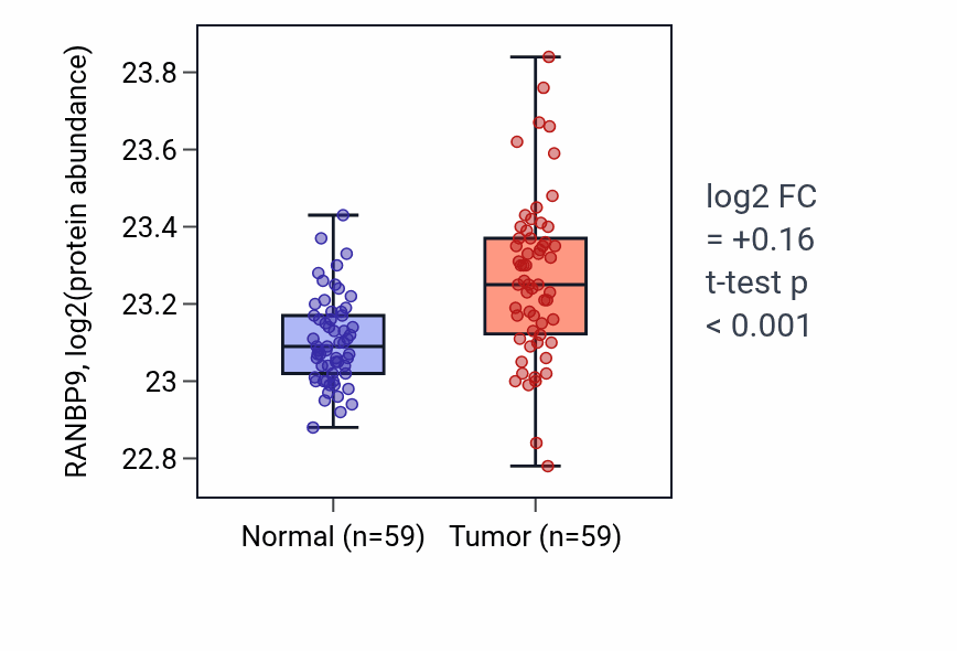 Tumor-vs-normal mass-spec protein box plot for RANBP9 in LSCC.