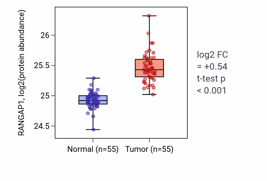 Tumor-vs-normal mass-spec protein box plot for RANGAP1 in COAD.