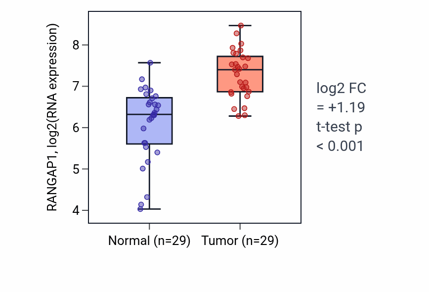 Tumor-vs-normal expression box plot for RANGAP1 RNA in HNSC.