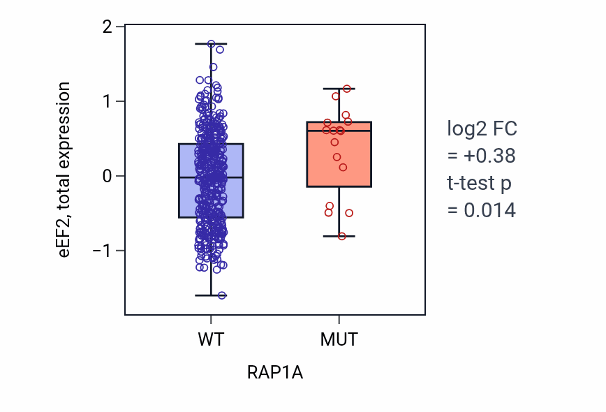 Box plot of eEF2 in RAP1A-low vs RAP1A-high samples in UCEC.