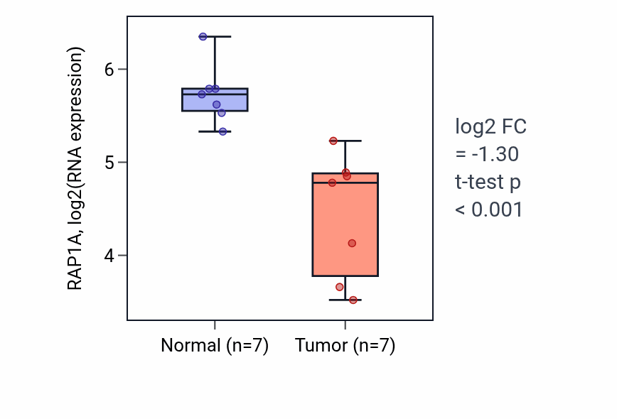 Tumor-vs-normal expression box plot for RAP1A RNA in KICH.
