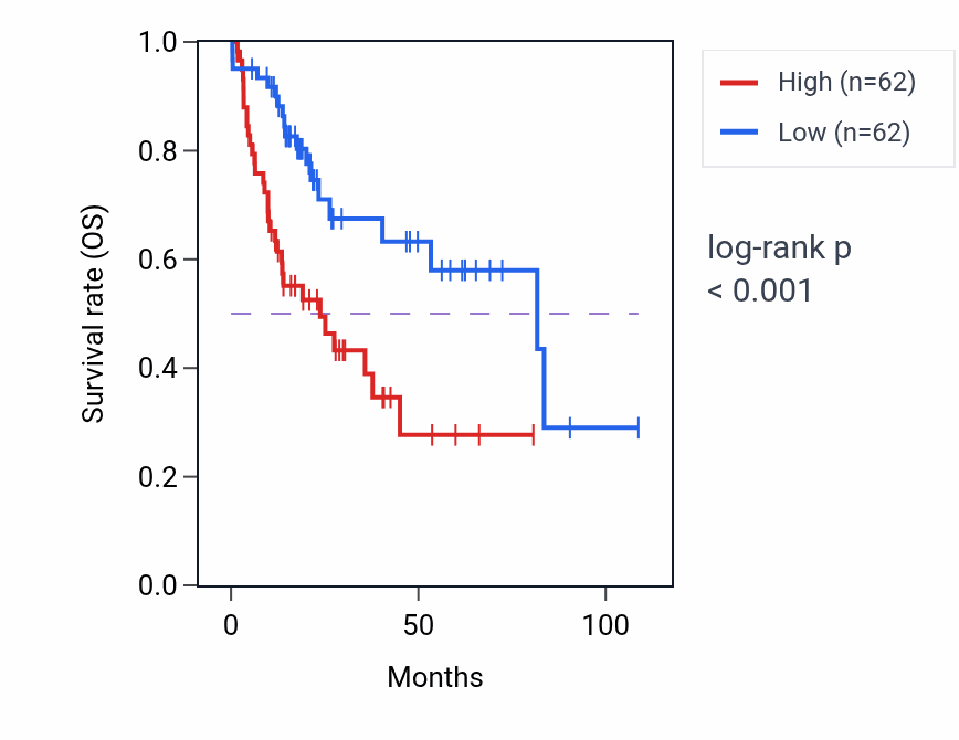Kaplan&ndash;Meier survival curve for RAP1A RNA-high vs -low samples in LIHC.
