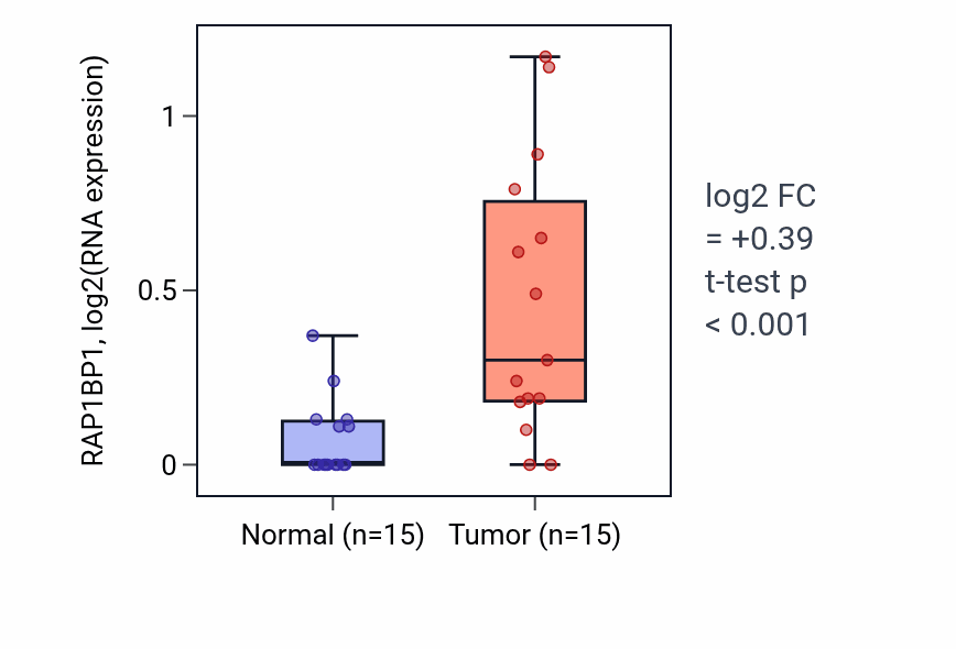 Tumor-vs-normal expression box plot for RAP1BP1 in KICH.