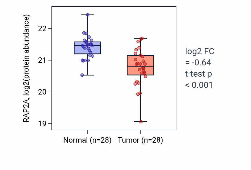 Tumor-vs-normal mass-spec protein box plot for RAP2A in LUAD.