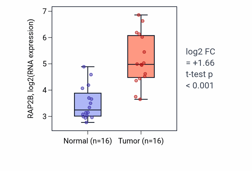 Tumor-vs-normal expression box plot for RAP2B RNA in KIRP.