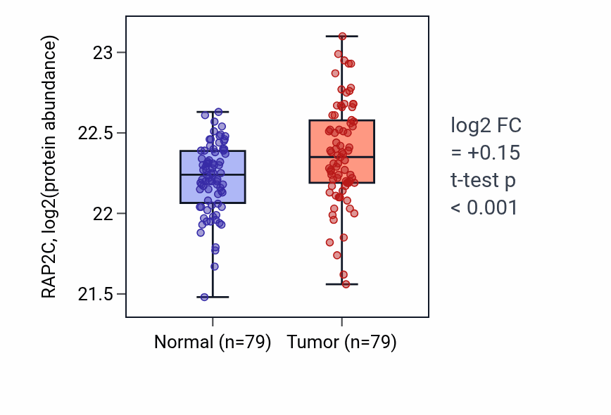 Tumor-vs-normal mass-spec protein box plot for RAP2C in LSCC.