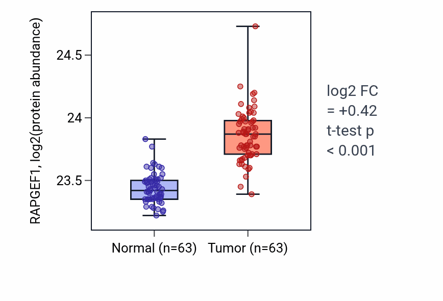 Tumor-vs-normal mass-spec protein box plot for RAPGEF1 in CCRCC.