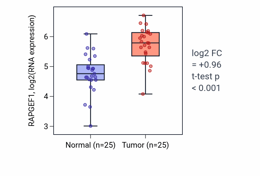 Tumor-vs-normal expression box plot for RAPGEF1 RNA in HNSC.