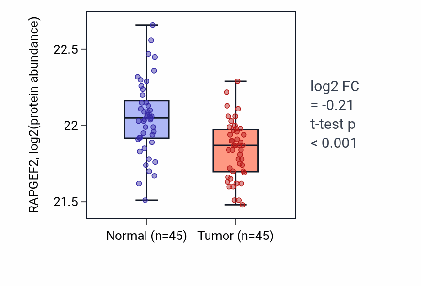 Tumor-vs-normal mass-spec protein box plot for RAPGEF2 in HNSC.
