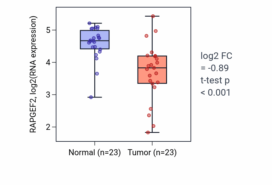 Tumor-vs-normal expression box plot for RAPGEF2 RNA in THCA.