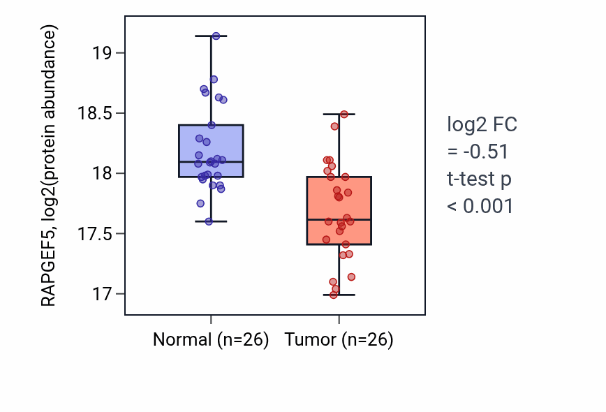Tumor-vs-normal mass-spec protein box plot for RAPGEF5 in LSCC.