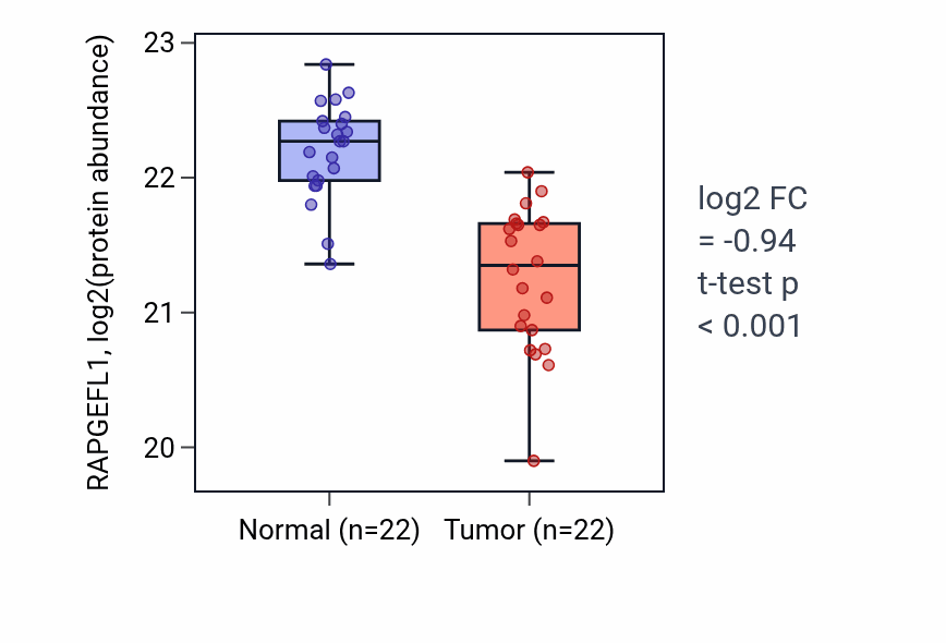Tumor-vs-normal mass-spec protein box plot for RAPGEFL1 in HNSC.