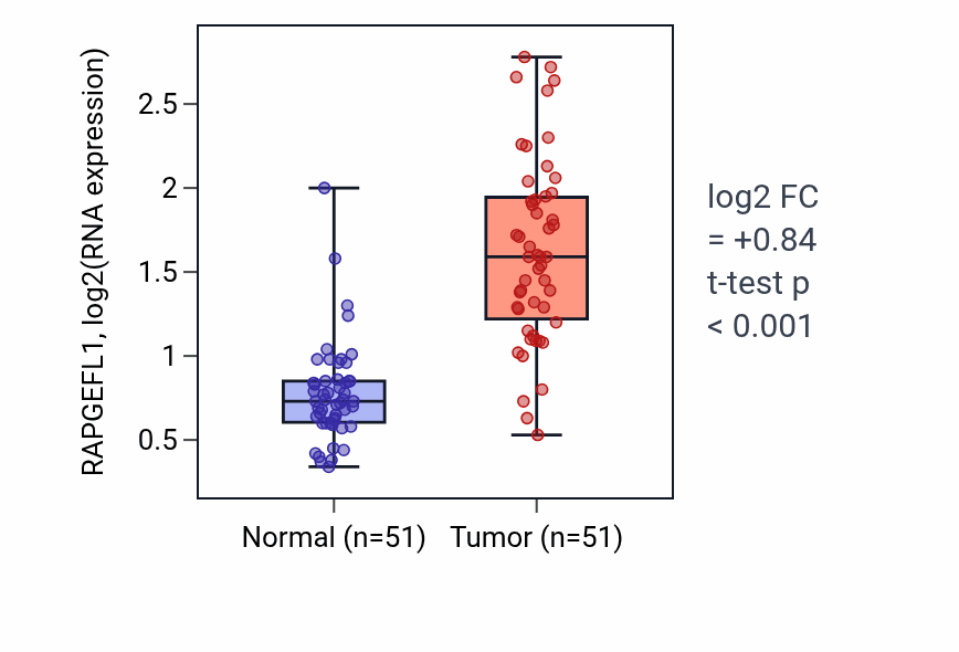 Tumor-vs-normal expression box plot for RAPGEFL1 RNA in KIRC.