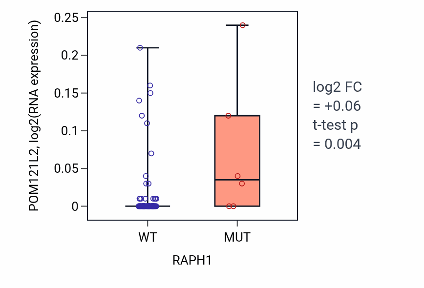 Box plot of POM121L2 in RAPH1-low vs RAPH1-high samples in CNS.