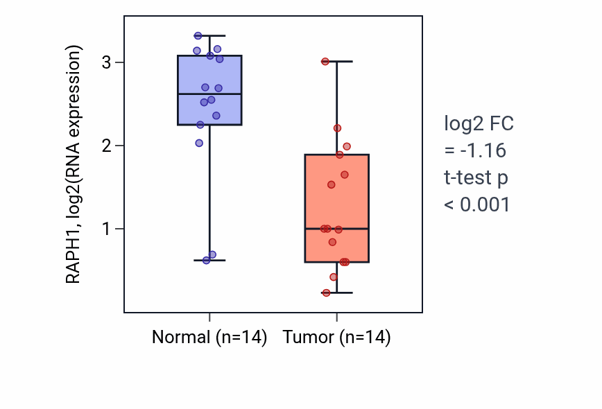 Tumor-vs-normal expression box plot for RAPH1 RNA in THCA.