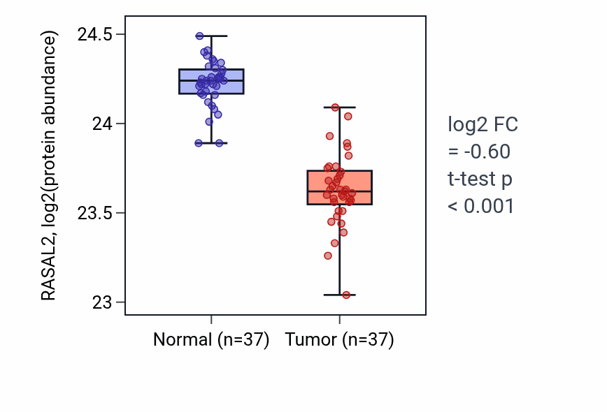 Tumor-vs-normal mass-spec protein box plot for RASAL2 in LUAD.