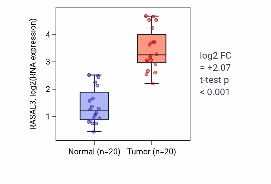 Tumor-vs-normal expression box plot for RASAL3 RNA in KIRC.