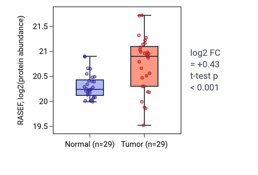 Tumor-vs-normal mass-spec protein box plot for RASEF in LUAD.