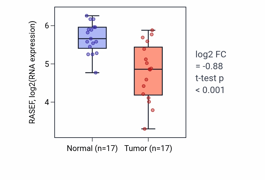Tumor-vs-normal expression box plot for RASEF RNA in THCA.