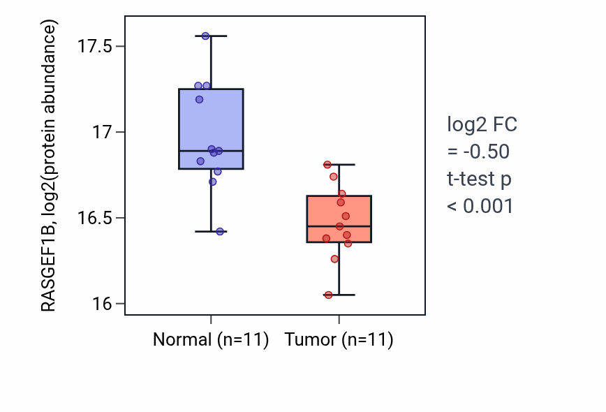 Tumor-vs-normal mass-spec protein box plot for RASGEF1B in LSCC.