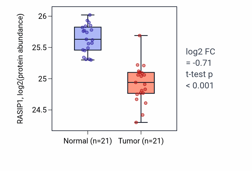 Tumor-vs-normal mass-spec protein box plot for RASIP1 in HNSC.