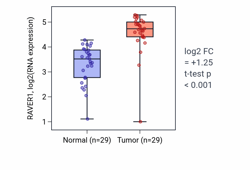 Tumor-vs-normal expression box plot for RAVER1 RNA in HNSC.