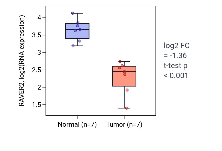 Tumor-vs-normal expression box plot for RAVER2 in THCA.