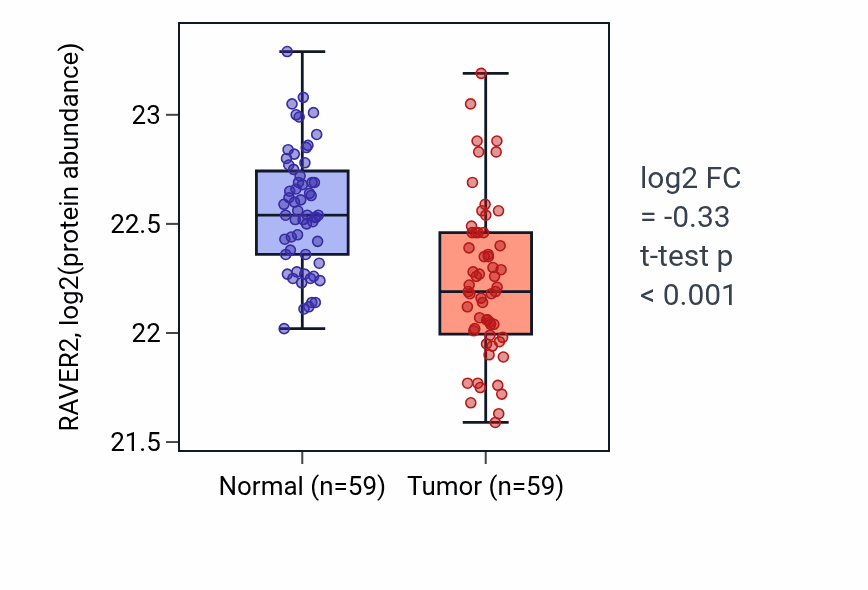 Tumor-vs-normal mass-spec protein box plot for RAVER2 in HNSC.