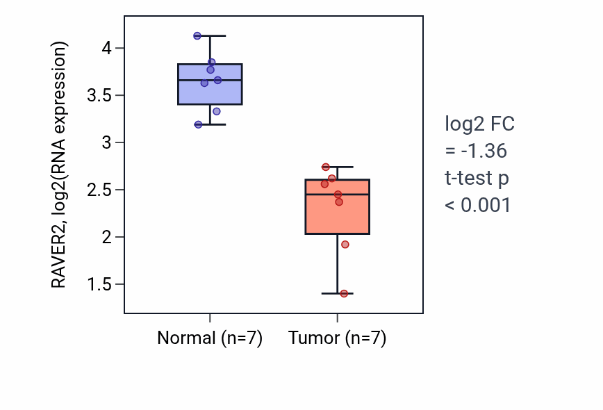Tumor-vs-normal expression box plot for RAVER2 RNA in THCA.