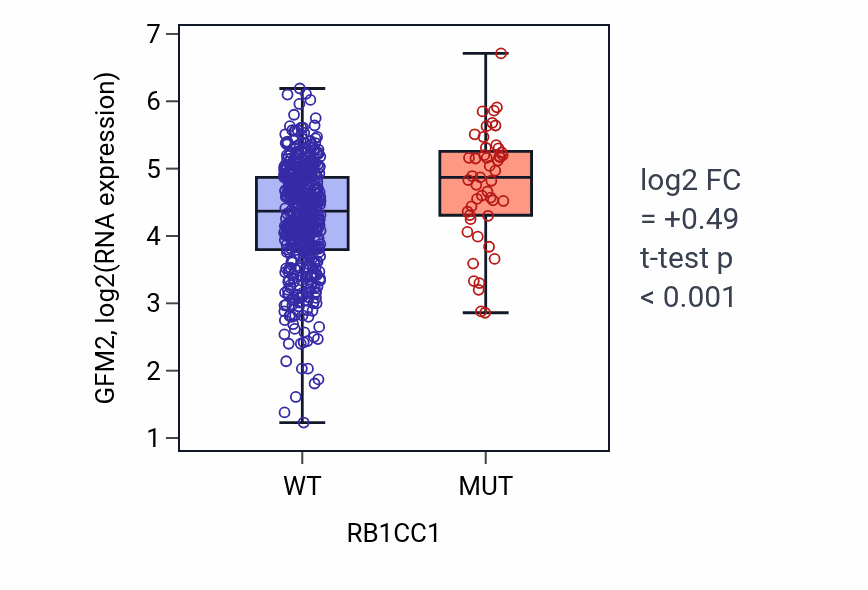 Box plot of GFM2 in RB1CC1-low vs RB1CC1-high samples in UCEC.