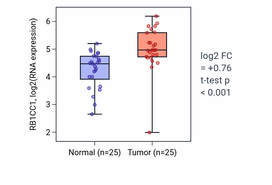 Tumor-vs-normal expression box plot for RB1CC1 RNA in HNSC.