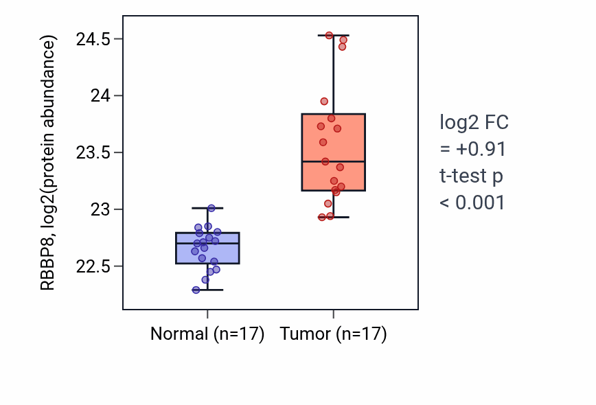 Tumor-vs-normal mass-spec protein box plot for RBBP8 in LSCC.