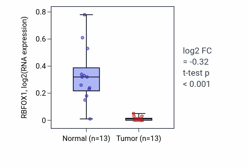 Tumor-vs-normal expression box plot for RBFOX1 RNA in KIRC.