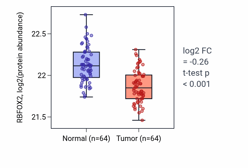 Tumor-vs-normal mass-spec protein box plot for RBFOX2 in LUAD.